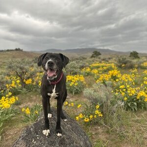 Meet your Posher, Julia